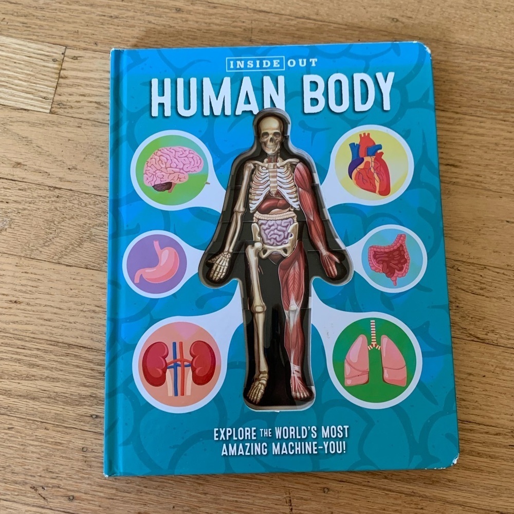 human body kids book